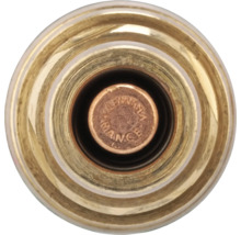 Thermostat pour systèmes de chauffage