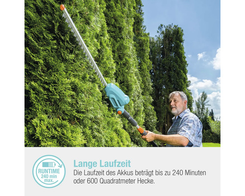 Eine Person schneidet eine Hecke mit einer Akku-Heckenschere.