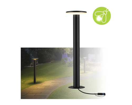 Aussenleuchte mit energiesparender Leuchtmittel-Eignung