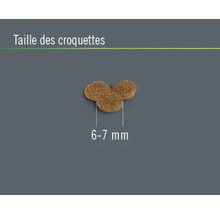 Croquettes pour chiens, taille 6 à 7 mm