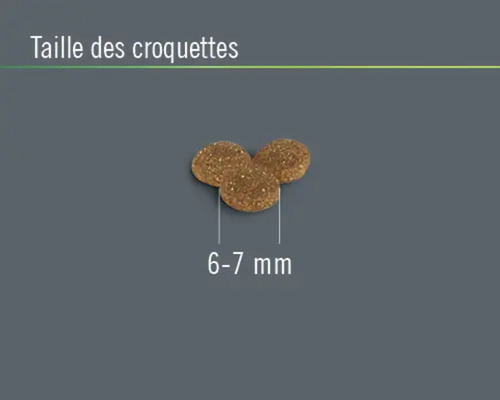 Croquettes pour chiens, taille 6 à 7 mm