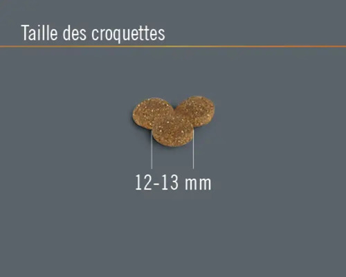 Taille des croquettes : 12 à 13 millimètres