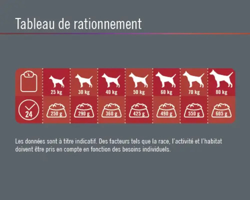 Tableau d''alimentation pour chiens basé sur le poids et la quantité quotidienne