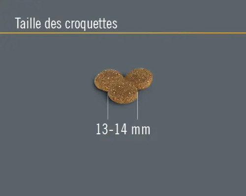 La taille des croquettes est de 13 à 14 millimètres