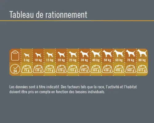 Tableau de rationnement pour chiens avec des recommandations de poids