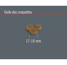 Croquettes pour chiens Sensitive Dog FINEVO saumon sans céréales 12 kg-thumb-3