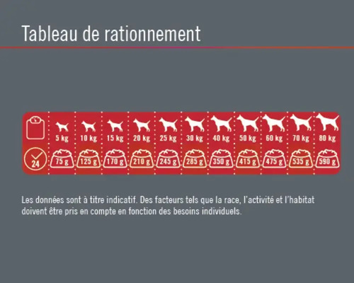 Tableau des rations pour chiens par poids et ration quotidienne en grammes