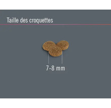 Croquettes pour chats Sensitive Cat FINEVO agneau 0,4 kg-thumb-1