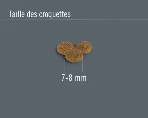 Taille des croquettes 7 à 8 millimètres