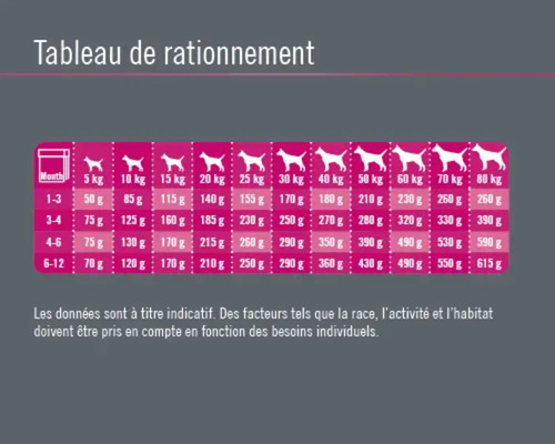 Tableau de rationnement pour aliments pour chiens avec recommandations d''alimentation selon l''âge et le poids du chien