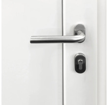 Porte avec poignée de porte et serrure