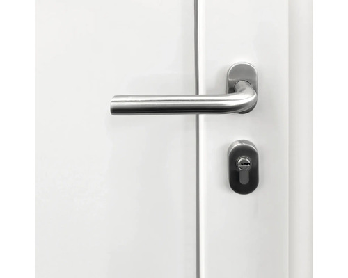 Porte avec poignée de porte et serrure