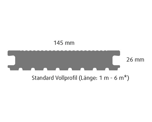 Standard Vollprofil mit einer Breite von 145 mm und einer Höhe von 26 mm.