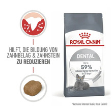 Katzenfutter trocken ROYAL CANIN Dental Care für gesunde Zähne mit Zahnpflege Aktivnährstoff, 1,5 kg