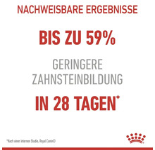 Katzenfutter trocken ROYAL CANIN Dental Care für gesunde Zähne mit Zahnpflege Aktivnährstoff, 1,5 kg