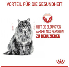 Katzenfutter trocken ROYAL CANIN Dental Care für gesunde Zähne mit Zahnpflege Aktivnährstoff, 1,5 kg
