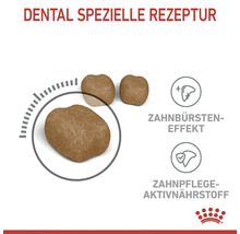 Katzenfutter trocken ROYAL CANIN Dental Care für gesunde Zähne mit Zahnpflege Aktivnährstoff, 1,5 kg