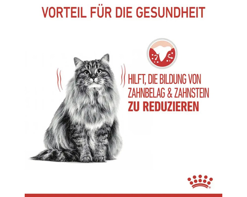 Vorteile für die Gesundheit mit Katze, reduziert Zahnsteinbildung