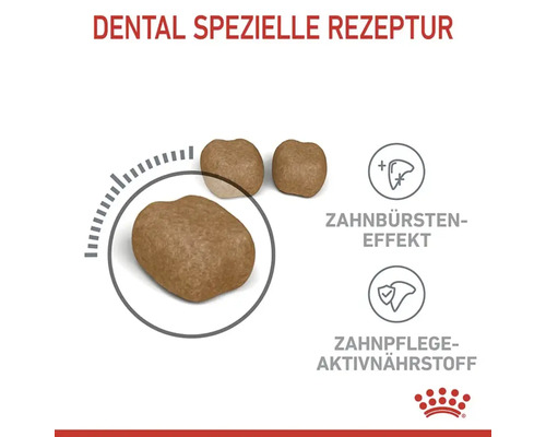 Royal Canin Dental Spezialrezeptur Hundefutter mit Zahnbürsten-Effekt und Zahnpflege-Aktivnährstoff