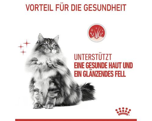 Katze mit gesundem Fell, Vorteil für die Gesundheit