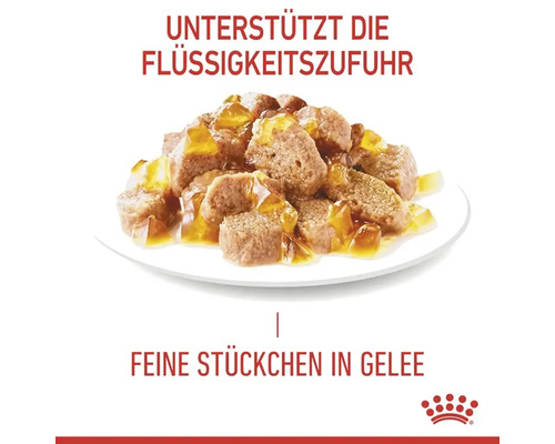 Katzenfutter mit feinen Stückchen in Gelee auf einem Teller