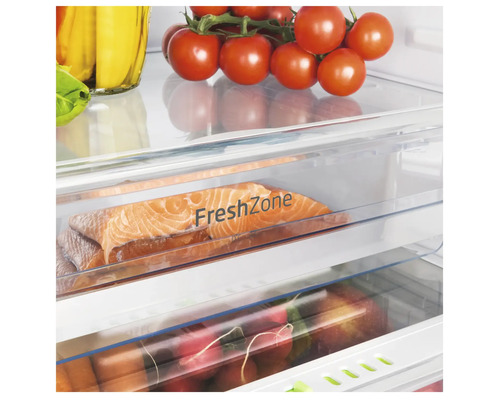 Kühlschrank Innenraum mit FreshZone, Tomaten, Fisch und Gemüse