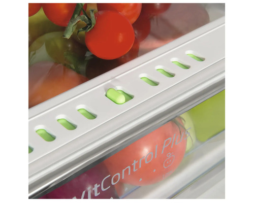 Bac à légumes dans le réfrigérateur avec des tomates et VitControl Plus