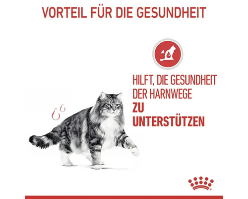 Katze zur Unterstützung der Harnwegsgesundheit