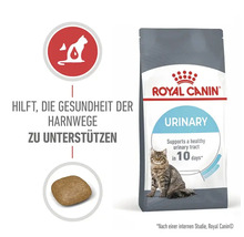 Katzenfutter trocken, ROYAL CANIN FCN Urinary Care 10 kg