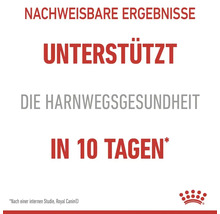 Katzenfutter trocken, ROYAL CANIN FCN Urinary Care 10 kg