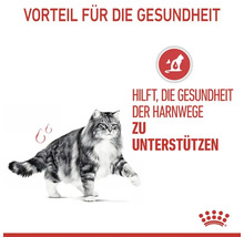 Katzenfutter trocken, ROYAL CANIN FCN Urinary Care 10 kg