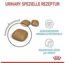 Katzenfutter trocken, ROYAL CANIN FCN Urinary Care 10 kg