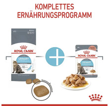 Katzenfutter trocken, ROYAL CANIN FCN Urinary Care 10 kg