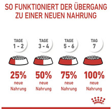 Katzenfutter trocken, ROYAL CANIN FCN Urinary Care 10 kg