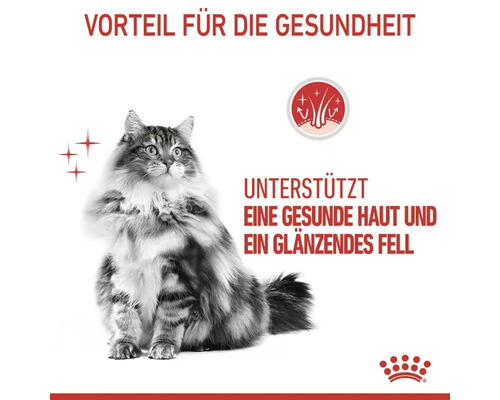 Katze mit glänzendem Fell, Vorteil für die Gesundheit