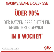 Nachweisbare Ergebnisse: Über 90 Prozent der Katzen erreichten in acht Wochen ein gesünderes Gewicht