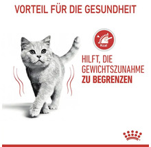 Katze hilft, Gewichtszunahme zu begrenzen