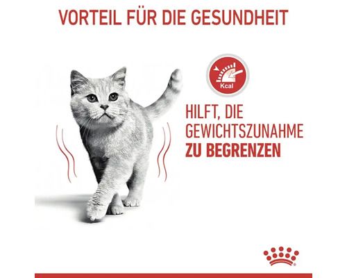 Katze hilft, Gewichtszunahme zu begrenzen