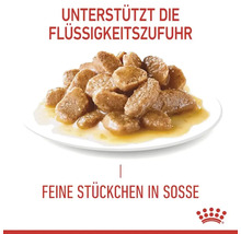 Katzenfutter: Fleischstücke in Soße zur Unterstützung der Flüssigkeitszufuhr