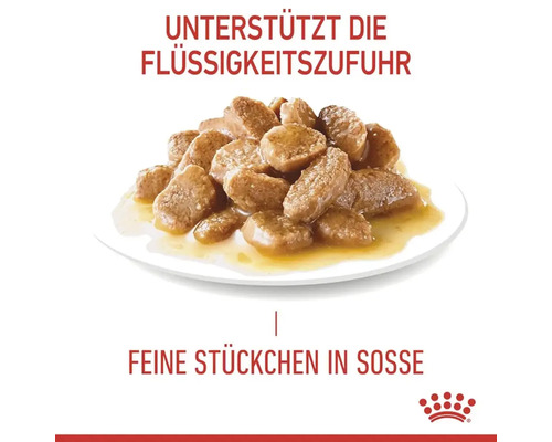 Katzenfutter: Fleischstücke in Soße zur Unterstützung der Flüssigkeitszufuhr