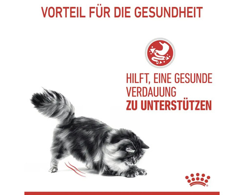 Katze, Vorteil für die Gesundheit, unterstützt eine gesunde Verdauung
