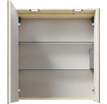 Geöffneter Spiegelschrank mit Glasböden und Beleuchtung