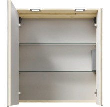 Offener Spiegelschrank mit Glasablagen und Beleuchtung.