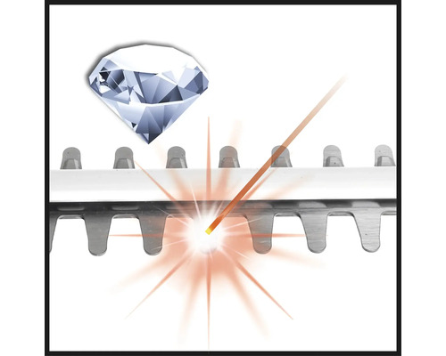 Symbolbild für einen Diamantschliff an einer Heckenschere.