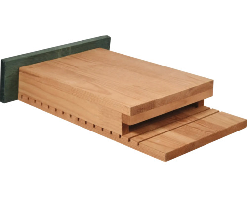 Hôtel à insectes en bois avec fente à l''entrée