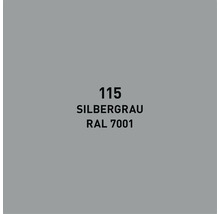 Farbfeld Silbergrau Farbton 115, RAL 7001