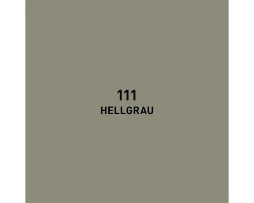 Échantillon de couleur gris clair 111