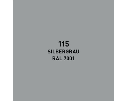 Nuancier gris argent RAL 7001