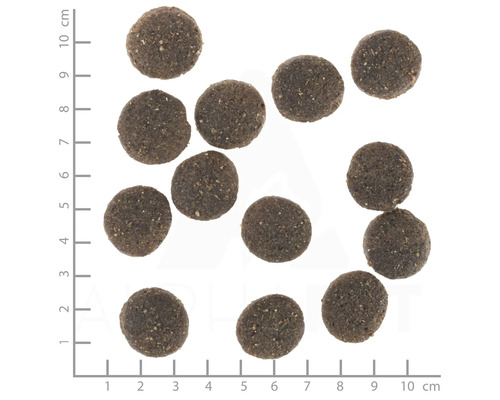 Mehrere Stücke Hundefutter mit Messskala