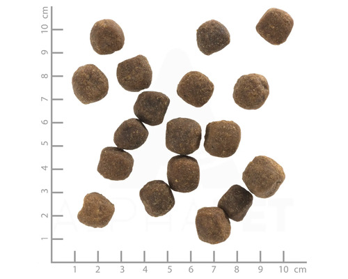 Mehrere Trockenfutterstücke mit Größenangabe in Zentimetern